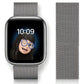 Silver SteelFlex Apple Watch Strap